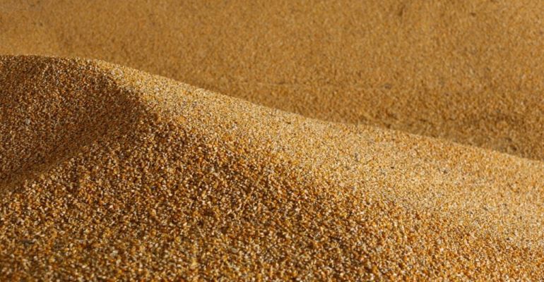 Com recorde na produção de milho, armazéns da Cageacre operam com capacidade máxima no interior do estado
